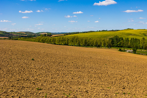 Lauragais hills in spring from Nailloux, covered with wheat and rapeseed fields