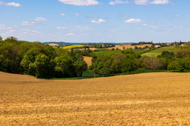 istock Lauragais hills in spring from Nailloux, covered with wheat and rapeseed fields 2150584418
