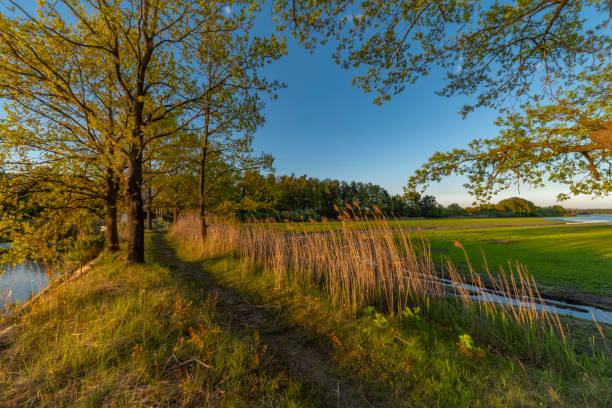 Dam between Bezdrev and Cesnovicky cip pond with spring color sunset evening with green trees