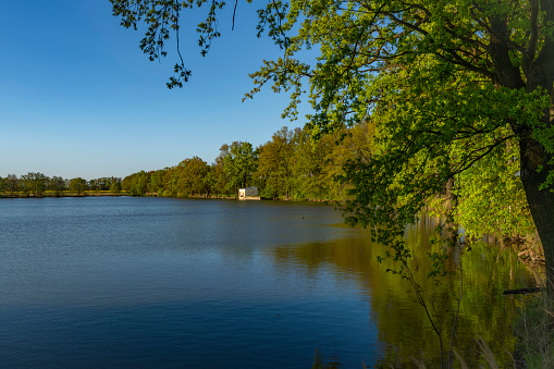 Tranquil scene of the two lakes at Hermitage Park