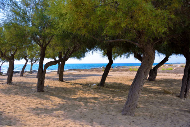 istock torre san giovanni italy 2150587820