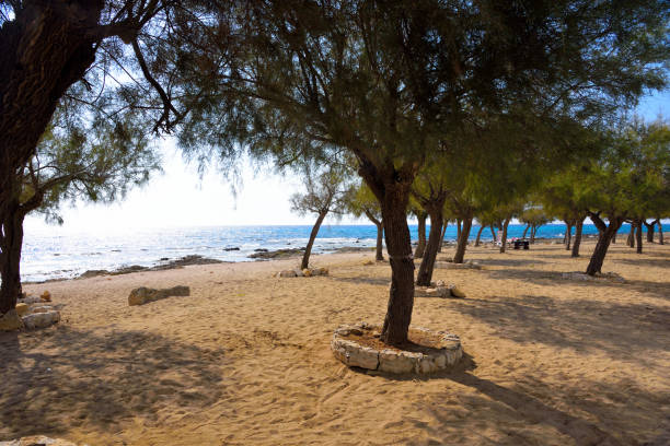 istock torre san giovanni italy 2150587847