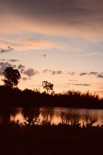 istock Waking up at the Lake 2150589604