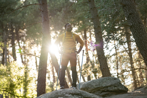 A male hiker stands proudly on a rock, basking in the sunlight that pierces through the dense forest canopy.