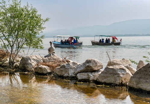 Daily life in Golyazi fishing village with boats and pelicans, Bursa, Turkey
