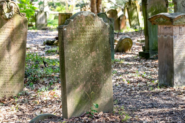 Old tombstones in cemetery, background with copy space, Newtown Camperdown cemetery founded 1848 NSW Australia, full frame horizontal composition