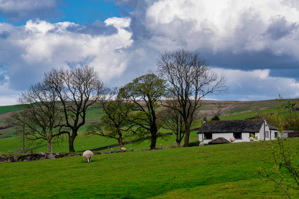 istock Edenfield landscape - Greater Manchester 2150599579