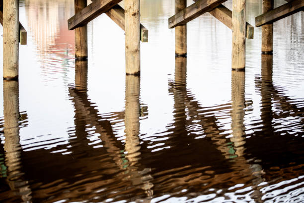 Water pollution