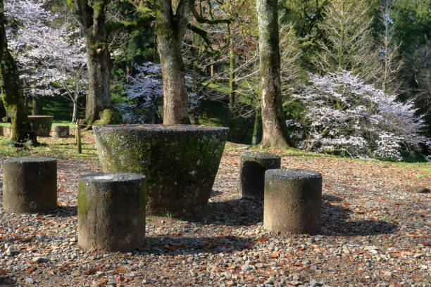 istock Cherry blossom viewing at Suberi yama, Kochi Park (Kochi City, Kochi Prefecture) 2150608297