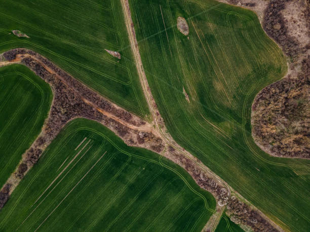 istock Aerial view of green agricultural fields in spring. 2150611934