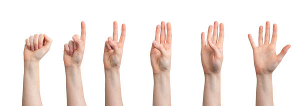 istock Fingers counting from zero, one, two, three, four to five numbers, hand gesture isolated on white 2150620540