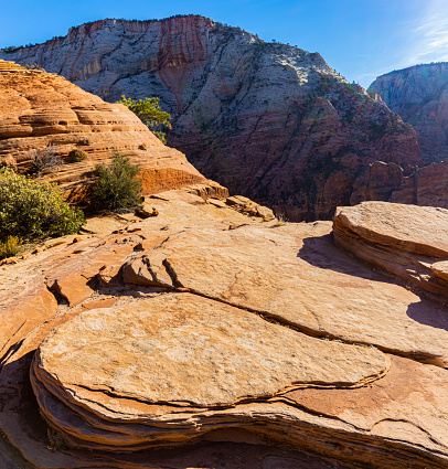 Observation Point From  West Rim Trail, Zion National Park, Utah, USA
