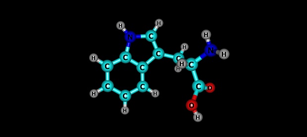 Tryptophan or Trp is an alpha-amino acid that is used in the biosynthesis of proteins, 3d illustration