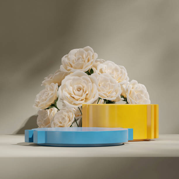 istock empty space bright blue and yellow podium in square gray wall and white rose, 3d render image 2150624502