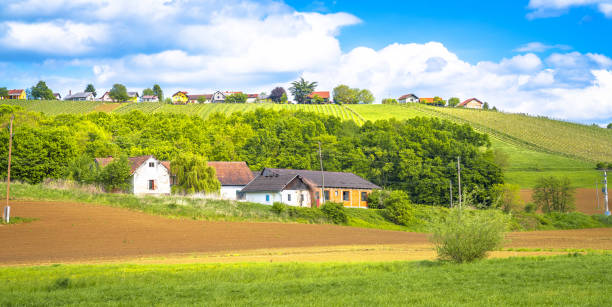 istock Jeruzalem hills wine region panoramic view 2150630703