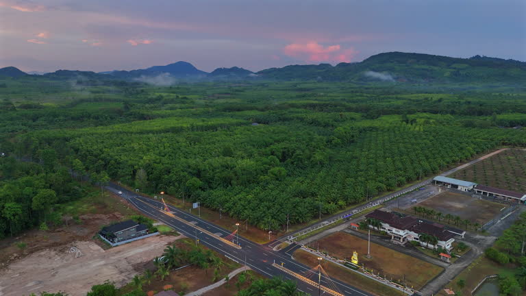 Road and palm plantation farm in rural scene from aerial at night