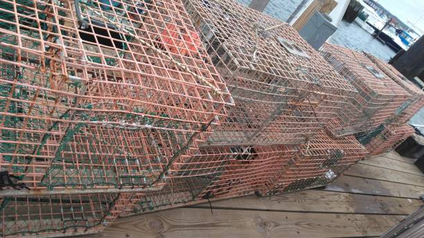 istock Lobster traps on the dock 2150633717