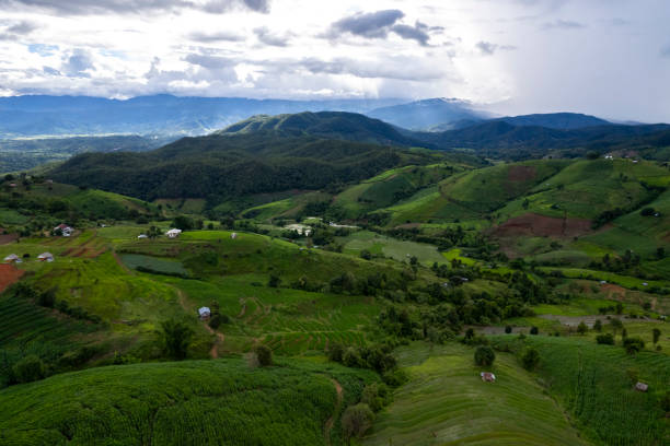 istock Terraced rice field at Mae Cham Chiangmai Northern Thailand 2150636244