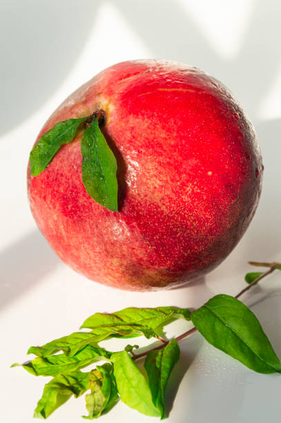 Beautiful unpeeled bright red pomegranates on a white background.