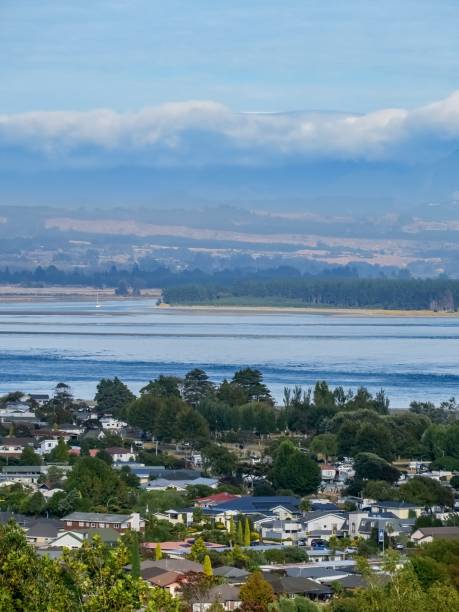istock Nelson, the Green City 2150640098