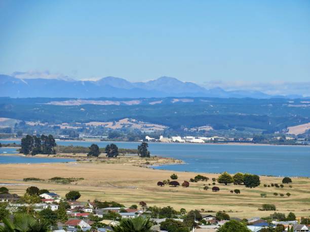 istock Nelson, the Green City 2150640111