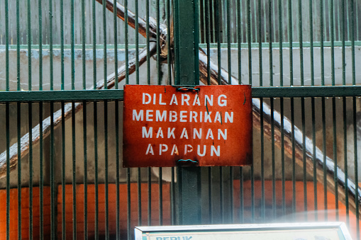 sign prohibited from giving any food in Indonesian