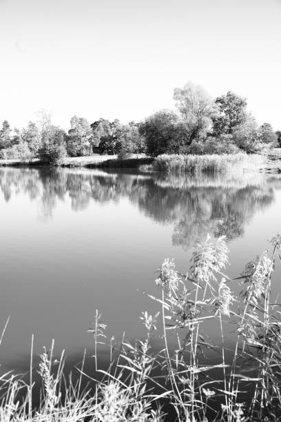 Aperture 7.1, exposure time 1/160 sec., ISO 160, focal length 48 mm, UV filter, sun visor, full format camera,