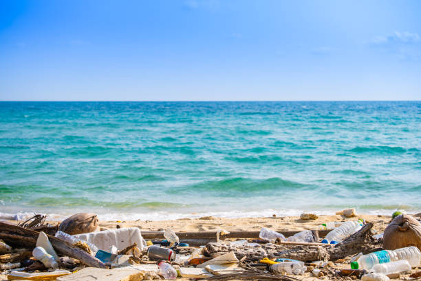 istock trash, plastic cups and plastic bags at the beach. environmental problem concept and healing the world 2150641515