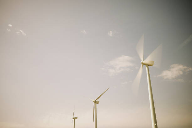 Wind turbine generators for renewable electrical energy production