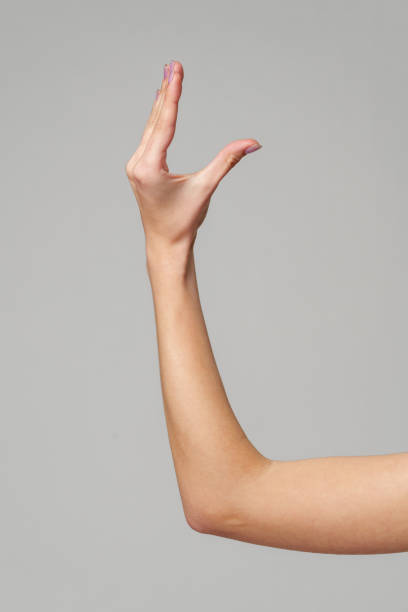 istock Female hand sign against gray background in studio 2150644075