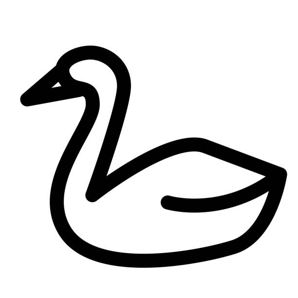6,100+ Swan Line Stock Photos, Pictures & Royalty-Free Images