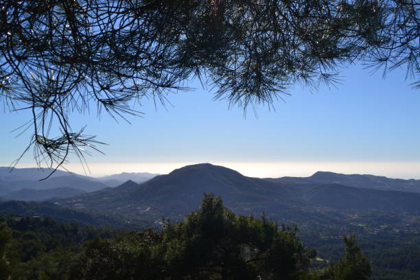 View from a trail in Troodos Mountains