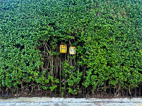 Fire hydrant sign in a hedge