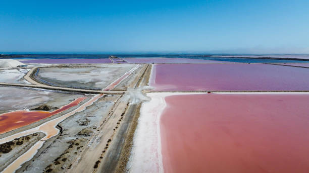 istock Salt pans with red water with blue sky 2150653209