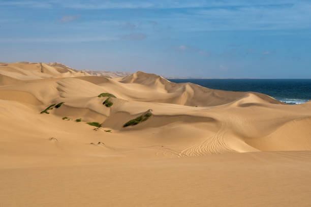 istock Landscapes of Sandwich Harbour - Walvis Bay - Namibia 2150654132