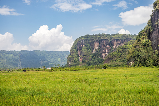The characteristic steep mountains in the Harau Vally behind lush rice fields. The picture is taken in Harau in the northern part of Sumatra