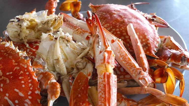 Steamed blue crab, a seafood menu that is becoming very popular, often eaten with steamed rice and seafood sauce.