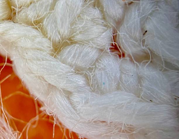 istock Weave of threads in light fabric, extreme close-up photo 2150657840