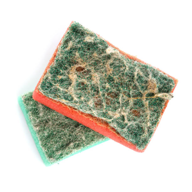 istock Old, used dishwashing sponge isolated on a white background. 2150661245