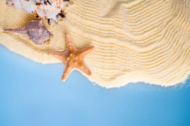 Summer time concept Flat lay composition with beautiful starfish and sea shells on colored table, top view with copy space for text.