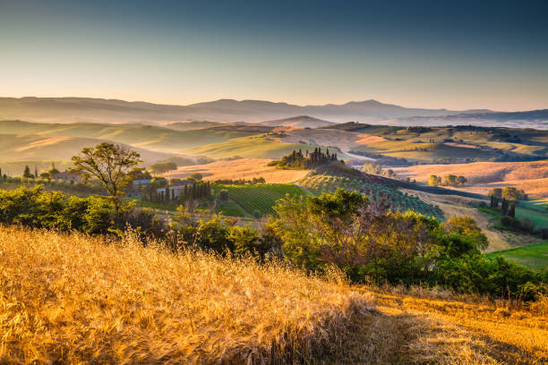 istock Golden sunset over tuscan hills 2150663284