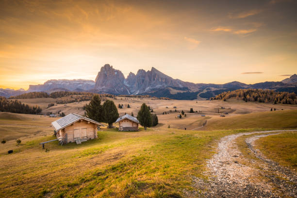 Golden sunset over alpine meadows