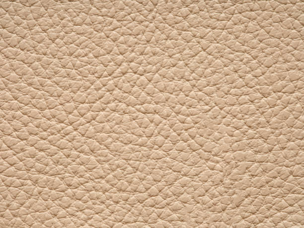 istock The ecru color beige leather sample. Background with copy space. 2150663788