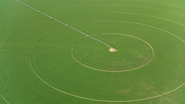 istock View of field with circular pivot irrigation 2150664328
