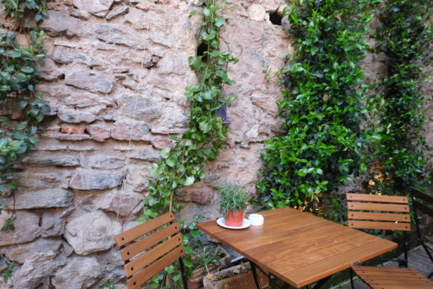 istock Enjoying coffee in the botanical garden 2150664515