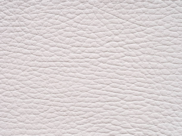 istock White leather texture sample. Genuine leather closeup in light white tone. Background with copy space, top view. Backdrop textured effect for design, upholstered furniture, clothing. Faux eco leather. 2150664821