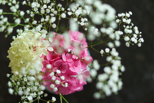 Beautiful bouquet of pink hydrangea and gypsophila flowers
