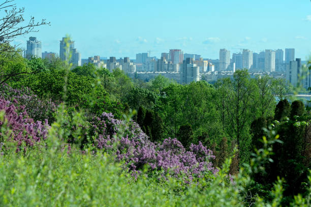 istock Landscape botanical park on a bright sunny spring day 2150667696