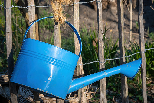 blue watering can at a fence