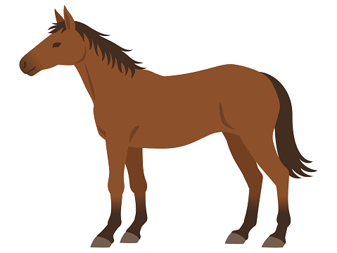 Illustration of a standing brown horse
